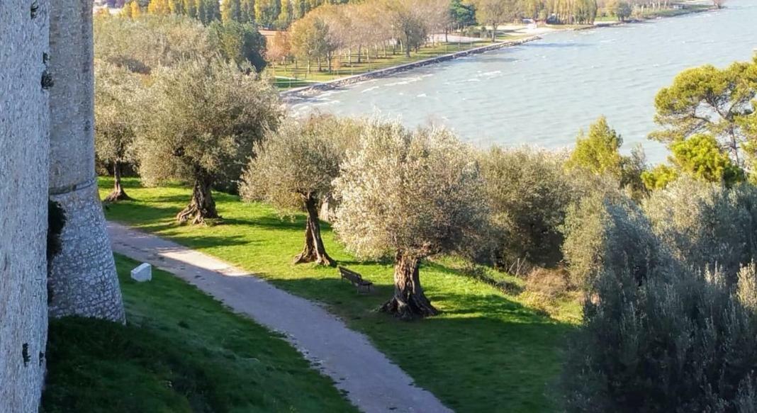 I Tulipani Di Anna Apartment Castiglione del Lago Exterior photo